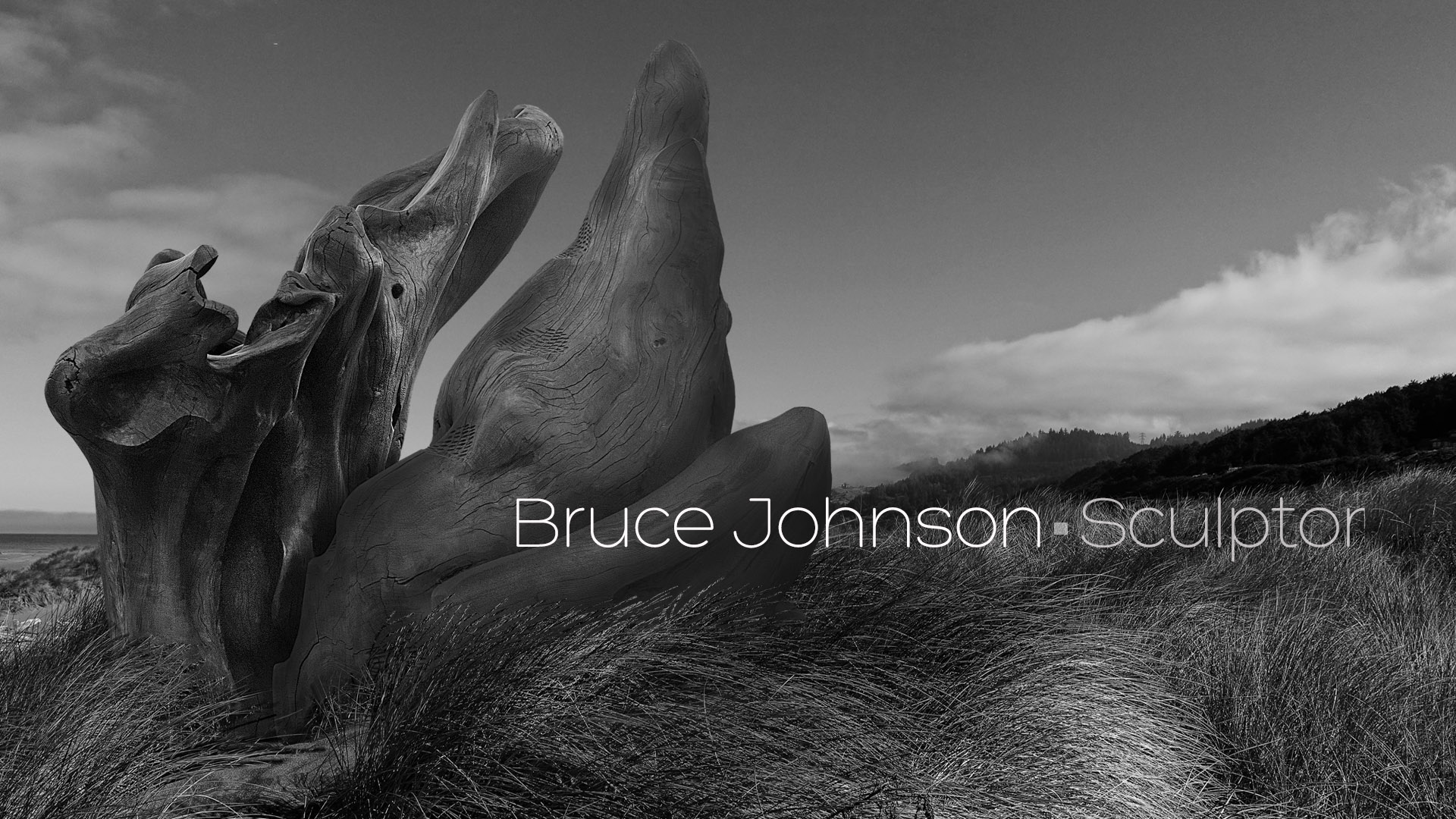 ©Bruce Johnson, Sculptor - www.formandenergy.com